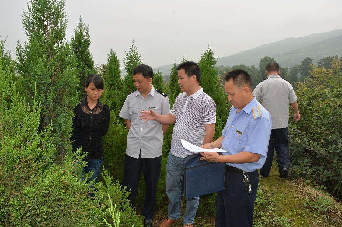 林業(yè)檢測(cè) 林業(yè)檢測(cè)