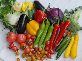 果蔬呼吸測(cè)定儀 果蔬呼吸測(cè)定儀