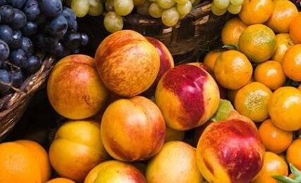 果蔬呼吸測定儀 果蔬呼吸測定儀