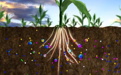 植物根系分析儀 植物根系分析儀